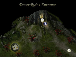 Tower Ruins Entrance