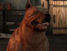 Mabari Gift Dragon age characters, Dragon age series, Dragon age origins