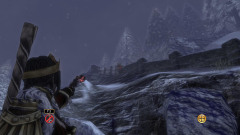 Dweller Camp Gnome #1