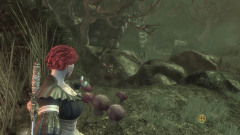 Mourningwood Gnome #2