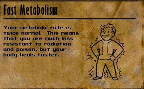 Fast Metabolism