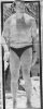 fat arnold.jpg
