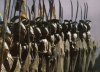 COMM Elven Army.jpg