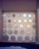 coin collection.jpg
