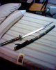 Sword without Sheath.jpg