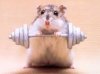 mightmouse.jpg