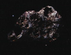 Carbonaceous Asteroid