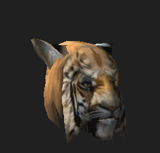 Khajiit Male