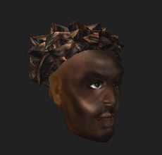 Redguard Male