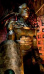 Coaxmetal