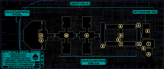 Hydroponics Sector A